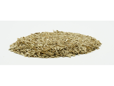 COUNTRY Feldgras 2059 -2