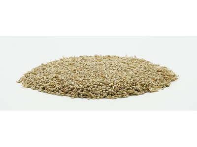 COUNTRY Feldgras 2060-2