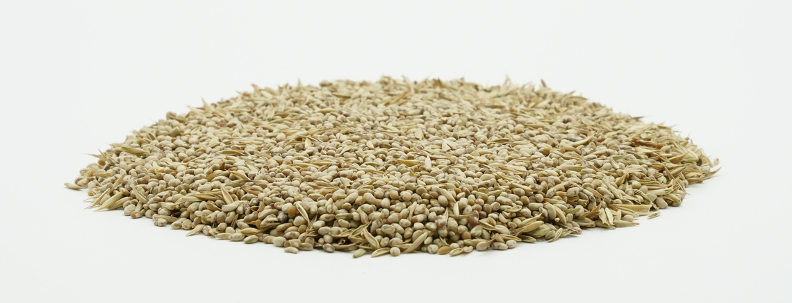 COUNTRY Feldgras 2060-2