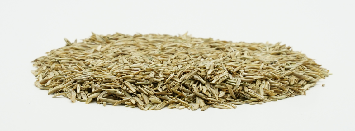 COUNTRY Grünland 2011 -2