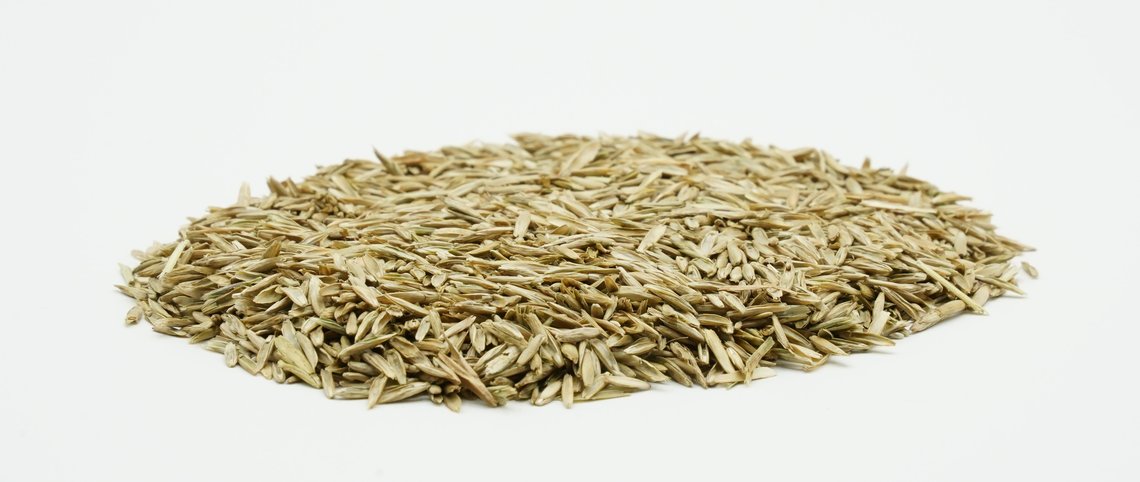 COUNTRY Horse 2118-2