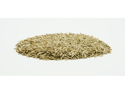 COUNTRY Grünland 2461 Organic-2