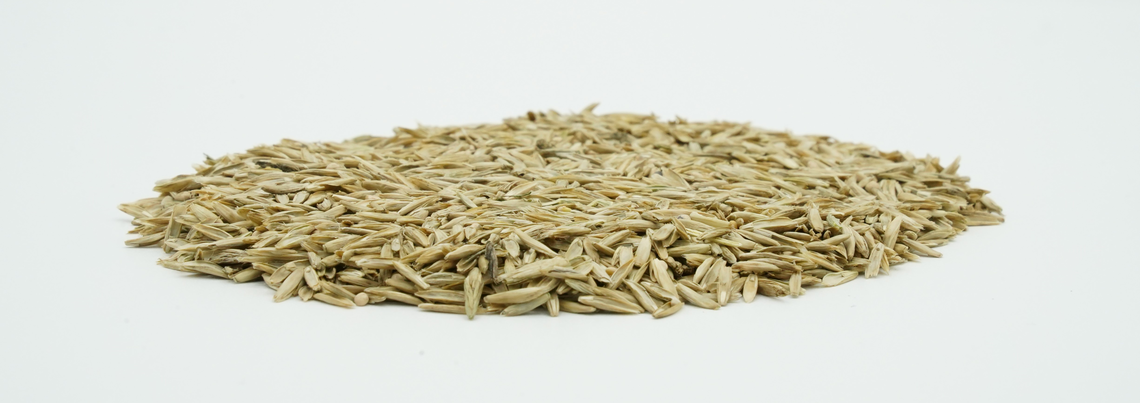 COUNTRY Grünland 2470 Organic-2