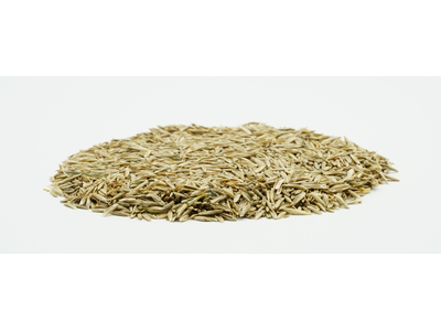COUNTRY Grünland 2464 Organic-2