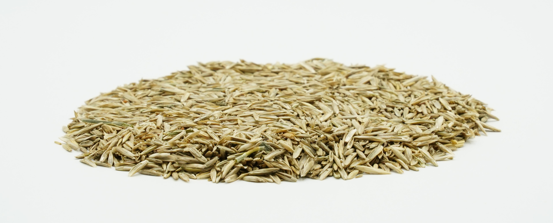 COUNTRY Grünland 2464 Organic-2