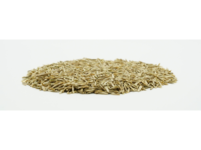 COUNTRY Grünland 2463 Organic-2