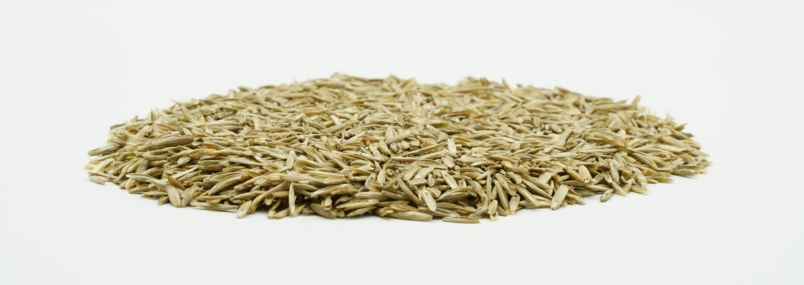 COUNTRY Grünland 2463 Organic-2