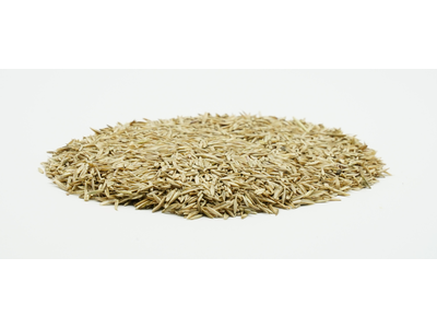 COUNTRY Grünland 2466 Organic-2