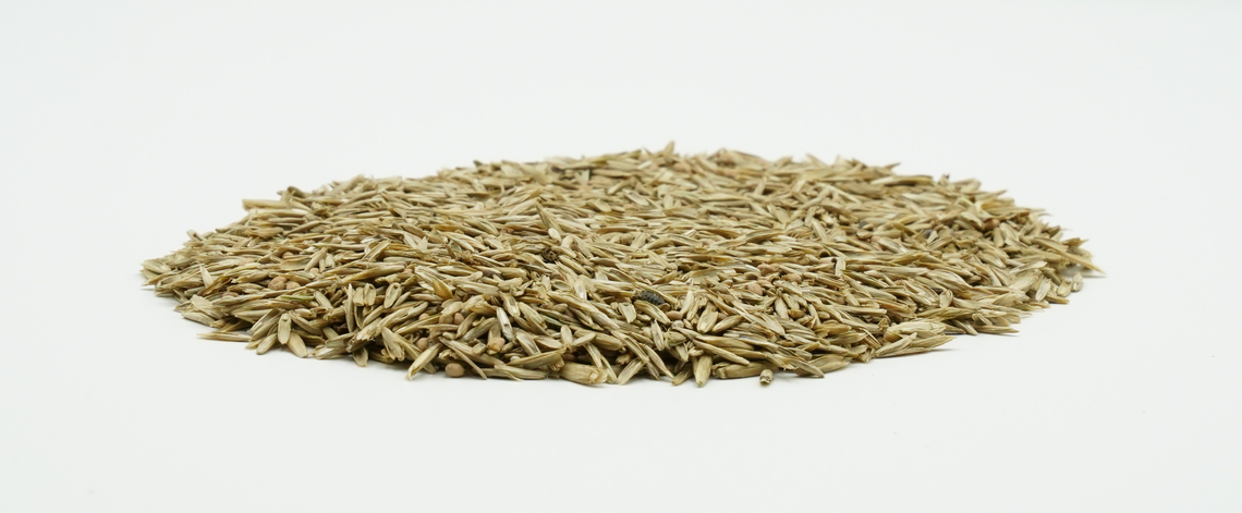 COUNTRY Grünland 2473 Organic-2