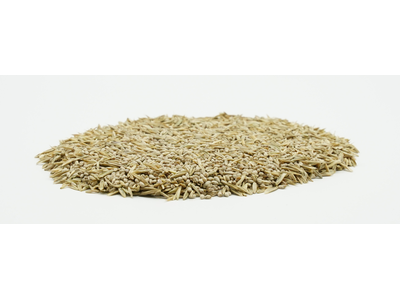 COUNTRY Feldgras 2481 Organic-2