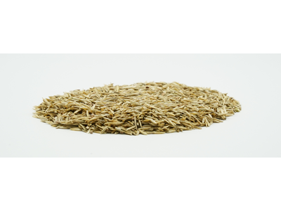 COUNTRY Feldgras 2482 Organic-2