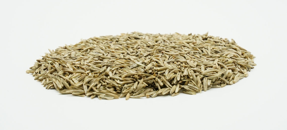 COUNTRY Feldgras 2484 Organic-2