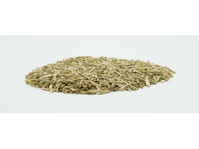 COUNTRY Feldgras 2487 Organic-2