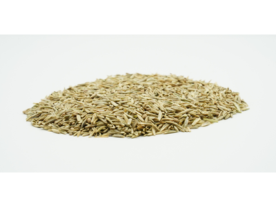 COUNTRY Feldgras 2488 Organic-2