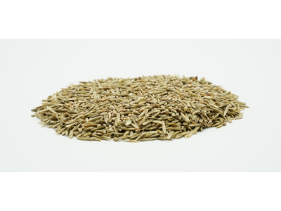 COUNTRY Feldgras 2483 Organic-2