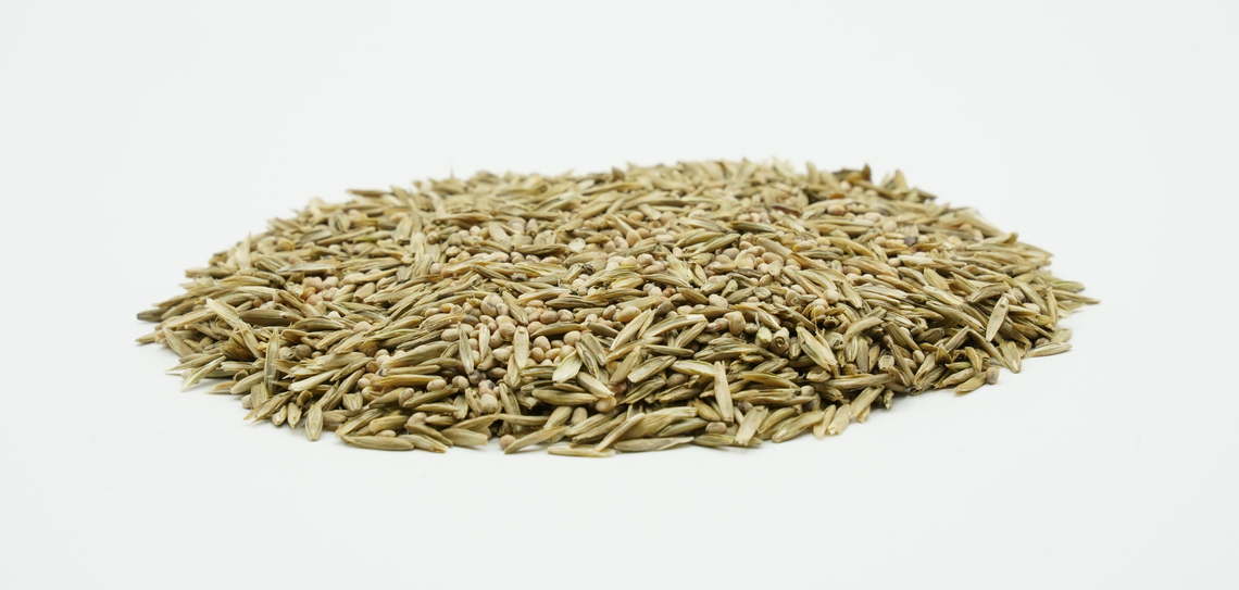 COUNTRY Feldgras 2483 Organic-2