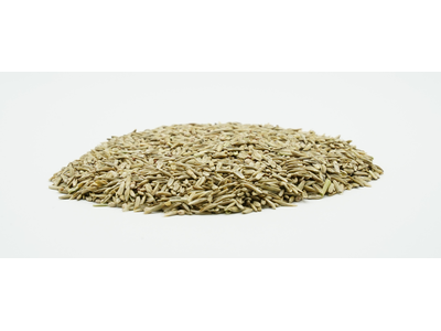 COUNTRY Feldgras 2485 Organic-2