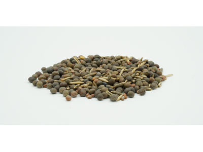 TerraLife® - BetaSola-7