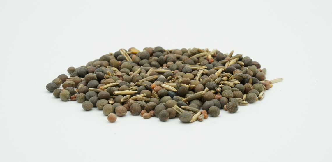 TerraLife® - BetaSola-7