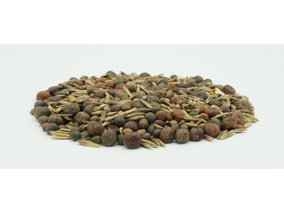 TerraLife® - BetaMaxx TR-7