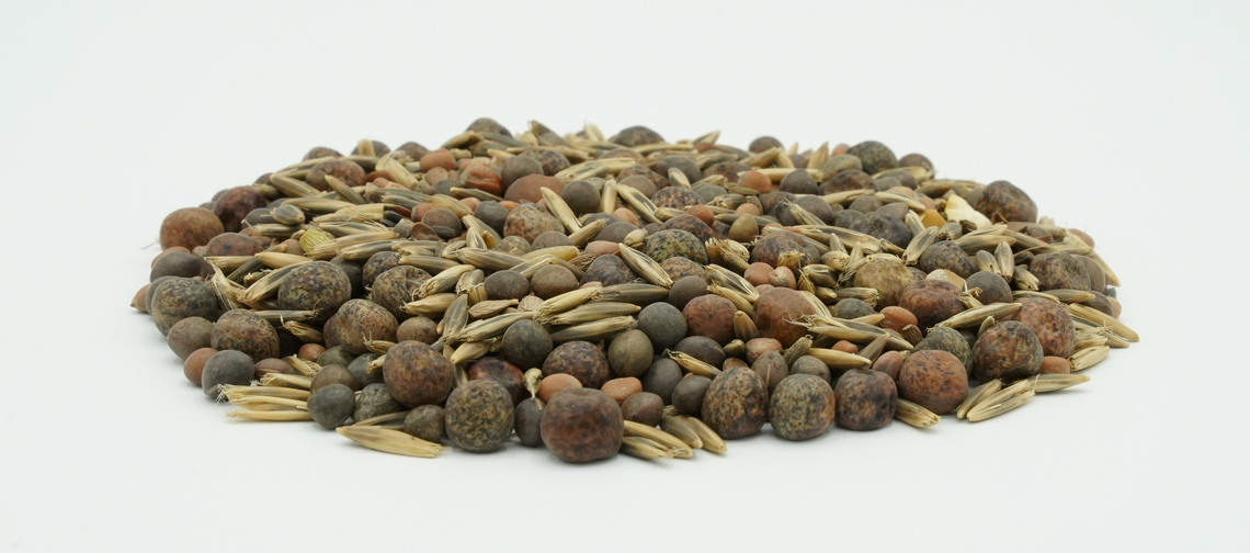 TerraLife® - BetaMaxx TR-7