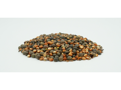 TerraLife® - WarmSeason-7