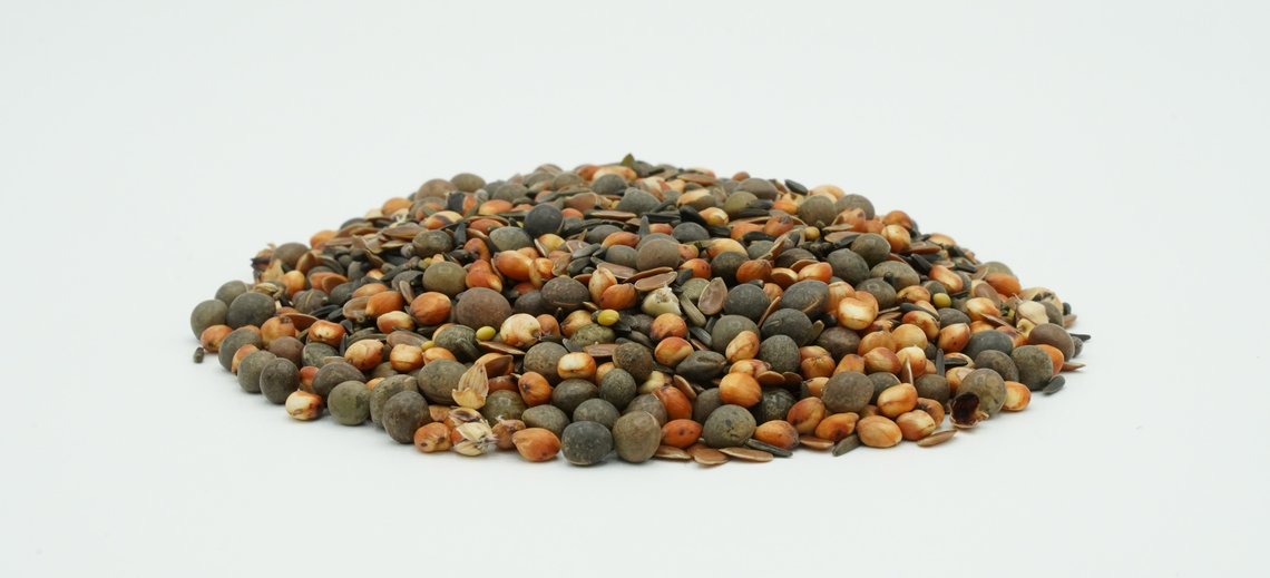TerraLife® - WarmSeason-7