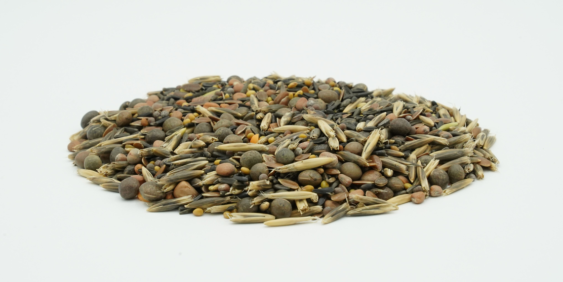 TerraLife® - SolaRigol R-4