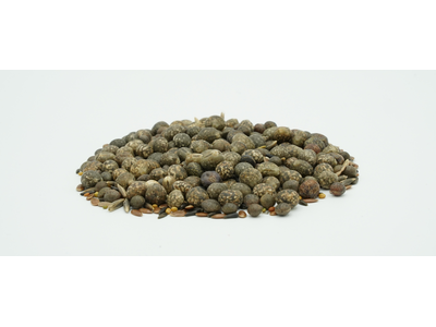 TerraLife® - SolaRigol-7
