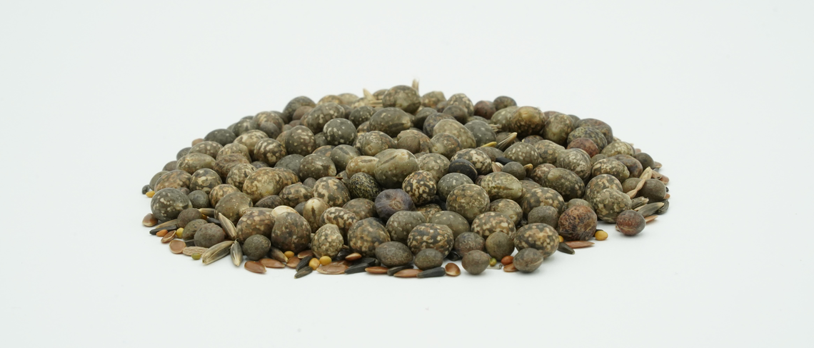 TerraLife® - SolaRigol-7