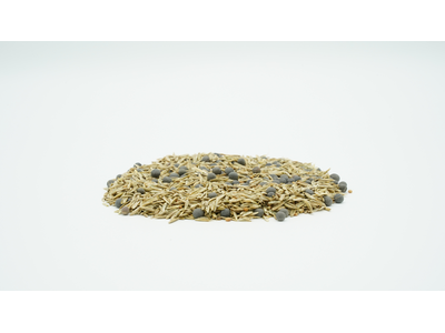 TerraLife® - Landsberger Gemenge-7